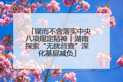 锲而不舍落实中央八项规定精神丨湖南探索“无扰督查”深化基层减负