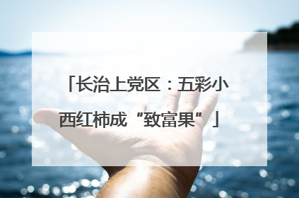 长治上党区：五彩小西红柿成“致富果”