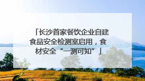 长沙首家餐饮企业自建食品安全检测室启用，食材安全“一测可知”