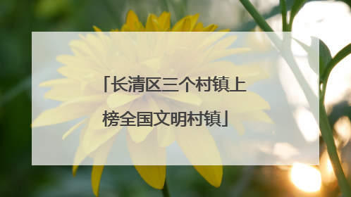 长清区三个村镇上榜全国文明村镇