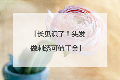长见识了！头发做刺绣可值千金