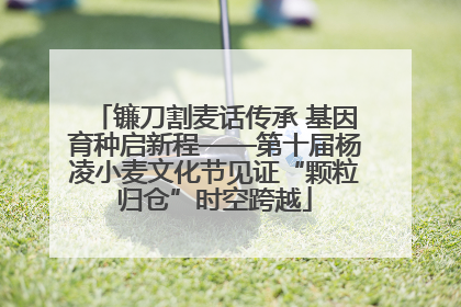 镰刀割麦话传承 基因育种启新程——第十届杨凌小麦文化节见证“颗粒归仓”时空跨越