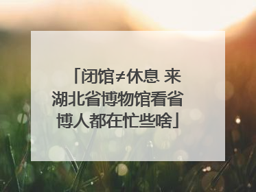 闭馆≠休息 来湖北省博物馆看省博人都在忙些啥