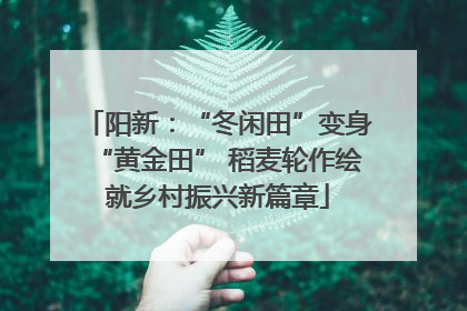 阳新：“冬闲田”变身“黄金田” 稻麦轮作绘就乡村振兴新篇章