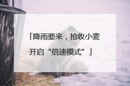 降雨要来，抢收小麦开启“倍速模式”