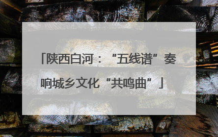 陕西白河：“五线谱”奏响城乡文化“共鸣曲”