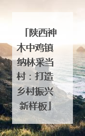 陕西神木中鸡镇纳林采当村：打造乡村振兴新样板