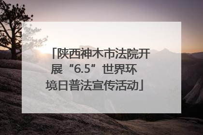 陕西神木市法院开展“6.5”世界环境日普法宣传活动