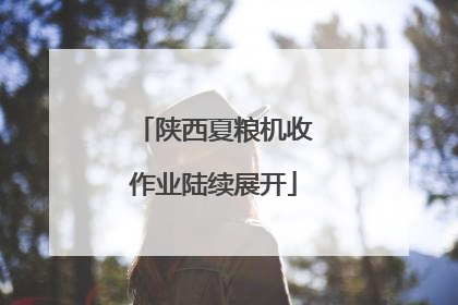 陕西夏粮机收作业陆续展开