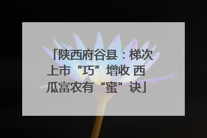 陕西府谷县：梯次上市“巧”增收 西瓜富农有“蜜”诀