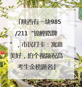 陕西有一块985/211“锦鲤路牌”，市民打卡：寓意美好，拍个视频祝高考生金榜题名