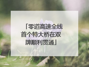 零道高速全线首个特大桥在双牌顺利贯通