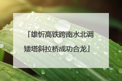 雄忻高铁跨南水北调矮塔斜拉桥成功合龙