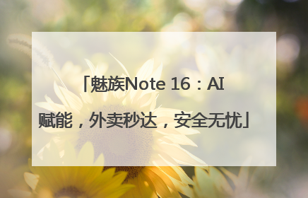 魅族Note 16：AI赋能，外卖秒达，安全无忧