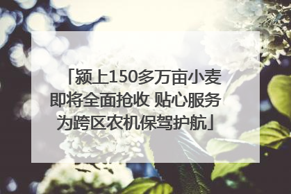 颍上150多万亩小麦即将全面抢收 贴心服务为跨区农机保驾护航