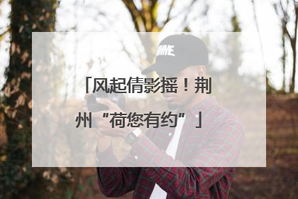 风起倩影摇！荆州“荷您有约”