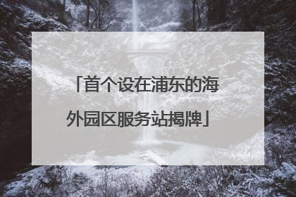首个设在浦东的海外园区服务站揭牌