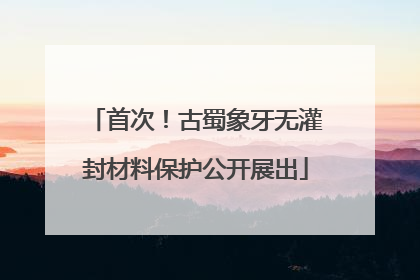 首次！古蜀象牙无灌封材料保护公开展出
