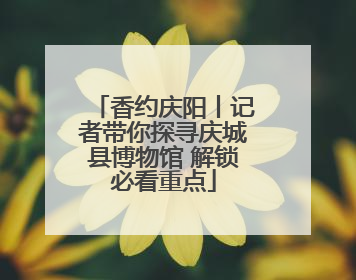 香约庆阳丨记者带你探寻庆城县博物馆 解锁必看重点