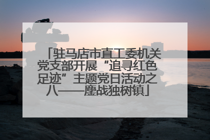 驻马店市直工委机关党支部开展“追寻红色足迹”主题党日活动之八——鏖战独树镇