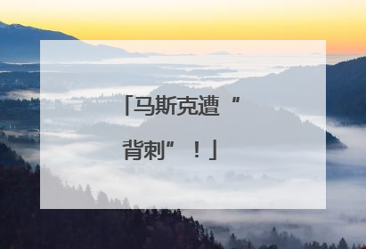 马斯克遭“背刺”！