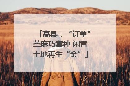 高县：“订单”苎麻巧套种 闲置土地再生“金”