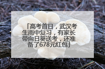 高考首日，武汉考生雨中复习，有家长带向日葵送考，还准备了678元红包