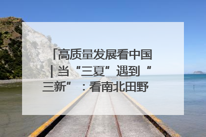 高质量发展看中国｜当“三夏”遇到“三新”：看南北田野里的科技共生记