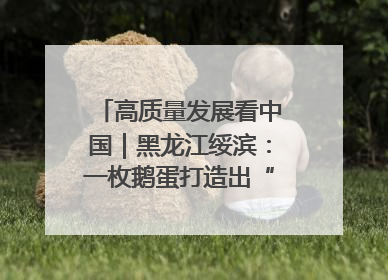 高质量发展看中国｜黑龙江绥滨：一枚鹅蛋打造出“产业图腾”