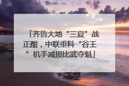 齐鲁大地“三夏”战正酣，中联重科“谷王”机手减损比武夺魁