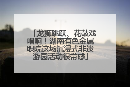 龙狮跳跃、花鼓戏唱响！湖南有色金属职院这场沉浸式非遗游园活动很带感