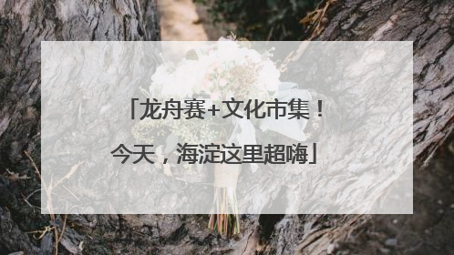 龙舟赛+文化市集！今天，海淀这里超嗨