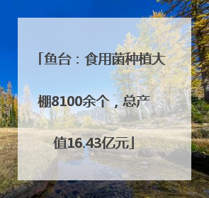 鱼台：食用菌种植大棚8100余个，总产值16.43亿元