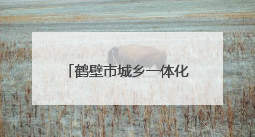 鹤壁市城乡一体化示范区市场监管分局开展重点问题食用农产品专项整治