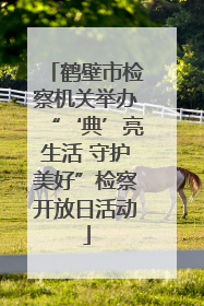 鹤壁市检察机关举办“‘典’亮生活 守护美好”检察开放日活动