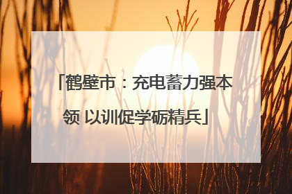 鹤壁市：充电蓄力强本领 以训促学砺精兵