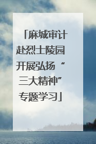 麻城审计赴烈士陵园开展弘扬“三大精神”专题学习