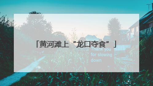 黄河滩上“龙口夺食”