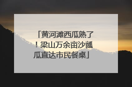 黄河滩西瓜熟了！梁山万余亩沙瓤瓜直达市民餐桌
