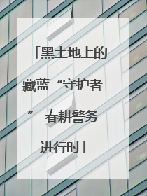 黑土地上的藏蓝“守护者” 春耕警务进行时