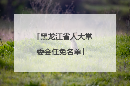 黑龙江省人大常委会任免名单