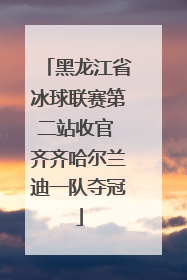 黑龙江省冰球联赛第二站收官 齐齐哈尔兰迪一队夺冠