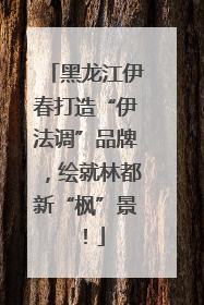 黑龙江伊春打造“伊法调”品牌，绘就林都新“枫”景！
