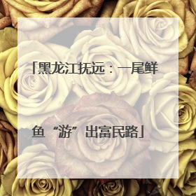 黑龙江抚远：一尾鲜鱼“游”出富民路