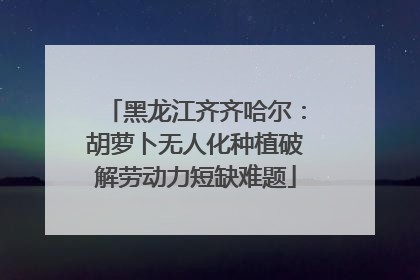 黑龙江齐齐哈尔：胡萝卜无人化种植破解劳动力短缺难题