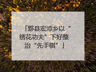 黟县宏潭乡以“绣花功夫”下好整治“先手棋”