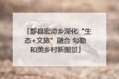 黟县宏潭乡深化“生态+文旅”融合 勾勒和美乡村新图景