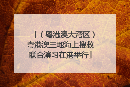 （粤港澳大湾区）粤港澳三地海上搜救联合演习在港举行