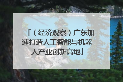 （经济观察）广东加速打造人工智能与机器人产业创新高地