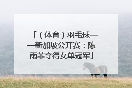 （体育）羽毛球——新加坡公开赛：陈雨菲夺得女单冠军